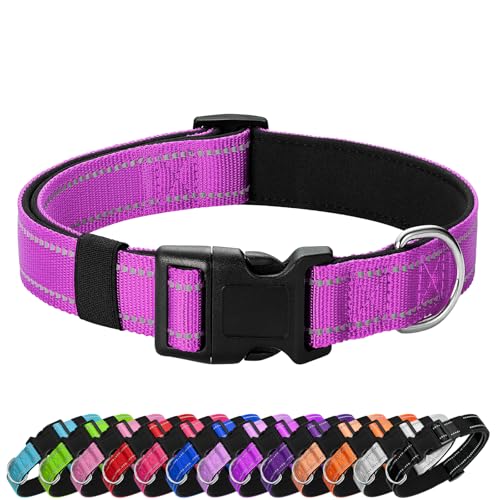 PenSeepet Reflektierendes Hundehalsband, gepolstert mit weichem Neopren, atmungsaktiv, Schnellverschluss, Basic Hundehalsbänder für Welpen, kleine Hunde, Dunkelmagenta von penseepet