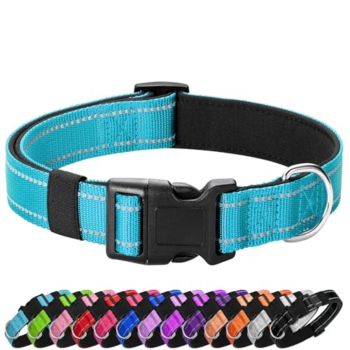 PenSeepet Reflektierendes Hundehalsband, gepolstert mit weichem Neopren, atmungsaktiv, Schnellverschluss, Basic Hundehalsbänder für Welpen, kleine Hunde, Himmelblau von penseepet