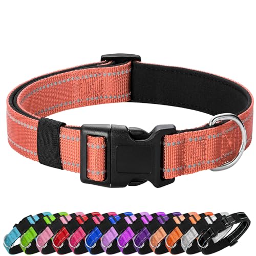 PenSeepet Reflektierendes Hundehalsband, gepolstert mit weichem Neopren, atmungsaktiv, Schnellverschluss, Basic Hundehalsbänder für Welpen, kleine Hunde, Koralle von penseepet