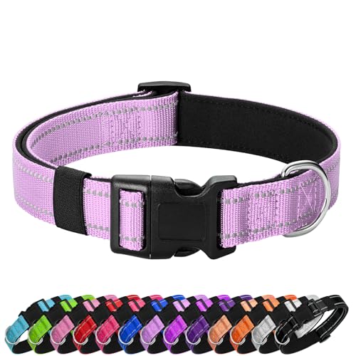 PenSeepet Reflektierendes Hundehalsband, gepolstert mit weichem Neopren, atmungsaktiv, Schnellverschluss, Basic Hundehalsbänder für Welpen, kleine Hunde, Lavendel von penseepet