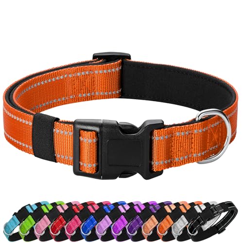 PenSeepet Reflektierendes Hundehalsband, gepolstert mit weichem Neopren, atmungsaktiv, Schnellverschluss, Basic Hundehalsbänder für Welpen, kleine Hunde, Orange von penseepet