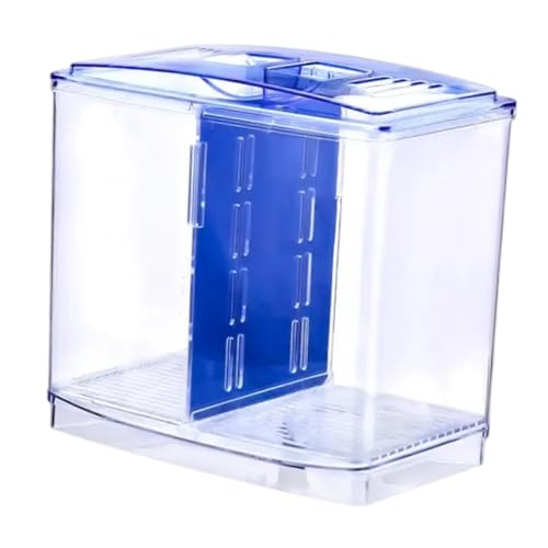 perfk Mini Betta Fischtank Fischkorb Aquarium Mehrnutzung Zuchtbox Fischschale mit Teiler für Schlafzimmer Wohnzimmer Desktop Dekor von perfk