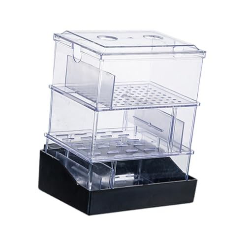 perfk Überlaufbox für Aquarien, Filterbox, 2-lagig, leiser Wasserreiniger für Schildkrötenbecken, Aquarium-Filterbox für kleine Fischbecken von perfk