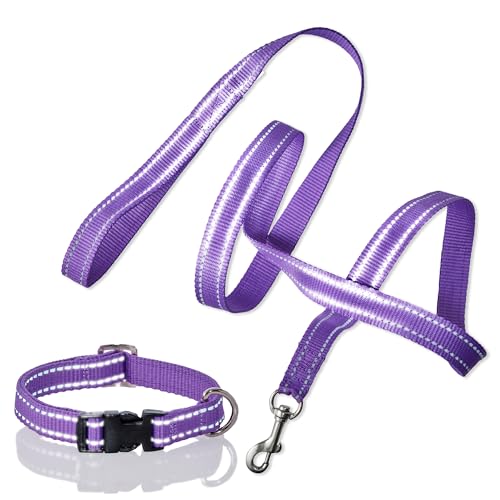 Pet Passion 2er-Pack MAX – The Hardy Reflektierendes Hundehalsband & 1,8 m Leine für alle Haustierrassen, Lila, Größe XXL von pet passion