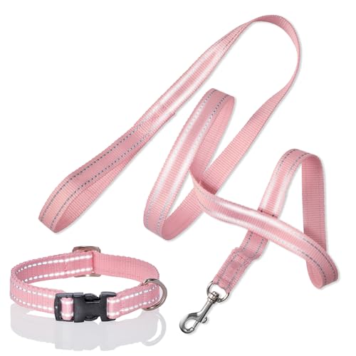 Pet Passion 2er-Pack MAX – The Hardy Reflektierendes Hundehalsband & 1,8 m Leine für alle Haustierrassen, Rosa, Größe XXL von pet passion