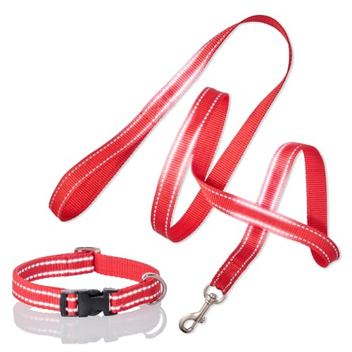 Pet Passion 2er-Pack MAX – The Hardy Reflektierendes Hundehalsband & 1,8 m Leine für alle Haustierrassen, Rot, Größe XXL von pet passion