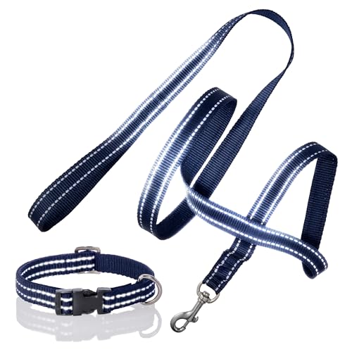 Pet Passion 2er-Pack Max – The Hardy Reflektierendes Hundehalsband & 1,8 m Leine für alle Haustierrassen, Marineblau, Größe L von pet passion