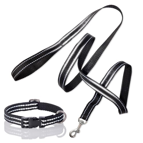 Pet Passion 2er-Pack Max – The Hardy Reflektierendes Hundehalsband & 1,8 m Leine für alle Haustierrassen, Schwarz, Größe L von pet passion