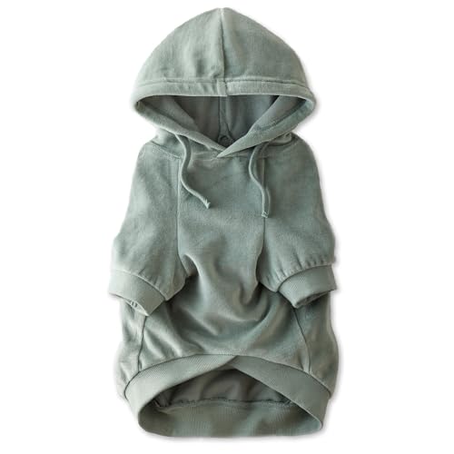 Pet Passion Hunde-Kapuzenpullover aus Bio-Baumwolle für kleine, mittelgroße und große Hunde, Salbei, Größe XS von pet passion