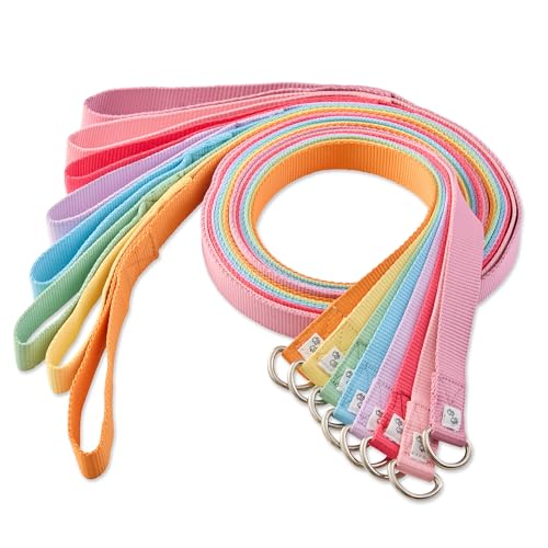 Pet Passion Hundeleine, zum Reinschlüpfen, Regenbogenfarben, 2,1 m, für alle Hunderassen, Regenbogenrosa, Einheitsgröße, 8 Stück von pet passion