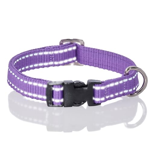 Pet Passion Verstellbares, reflektierendes Hundehalsband für kleine, mittelgroße und große Hunde, Lila, Größe L von pet passion