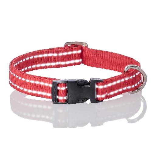 Pet Passion Verstellbares, reflektierendes Hundehalsband für kleine, mittelgroße und große Hunde, Rot, Größe L von pet passion