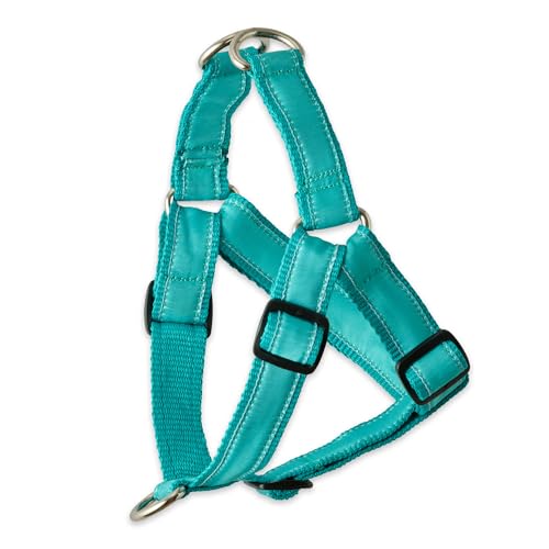 Pet Passion REMY - The Recycled Ribbon Harness Türkis, Large von pet passion