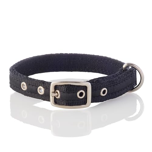 Pet Passion Verstellbares Hundehalsband aus recyceltem Band für alle Haustierrassen, Schwarz, Größe L von pet passion