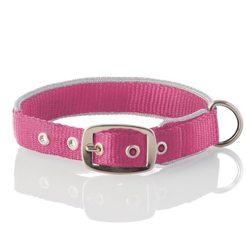 Pet Passion Verstellbares Hundehalsband mit silberfarbenem Rand, für kleine, mittelgroße und große Hunde, Silber/Hot Pink, Größe L von pet passion