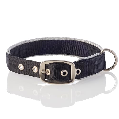 Pet Passion Verstellbares Hundehalsband mit silberfarbenem Rand, für kleine, mittelgroße und große Hunde, Silber-Schwarz, Größe XS von pet passion