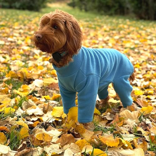 Warmes Hunde-Fleece, erhältlich in fünf Größen und drei Farben (Blaugrün, XXL (Vierbeiner)) von pet wiz