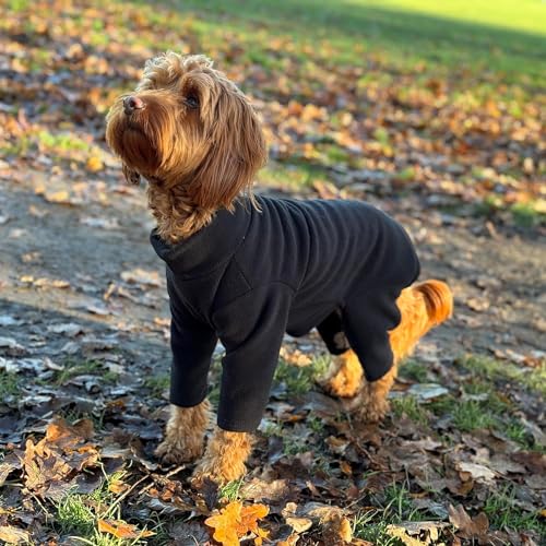 Warmes Hunde-Fleece, erhältlich in fünf Größen und drei Farben (Schwarz, XXL (Vierbeiner)) von pet wiz