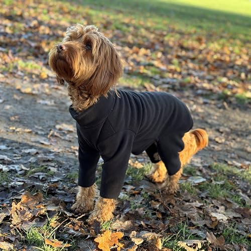 Warmes Hunde-Fleece, erhältlich in fünf Größen und fünf Farben (Schwarz, XS (Vierbeiner)) von pet wiz