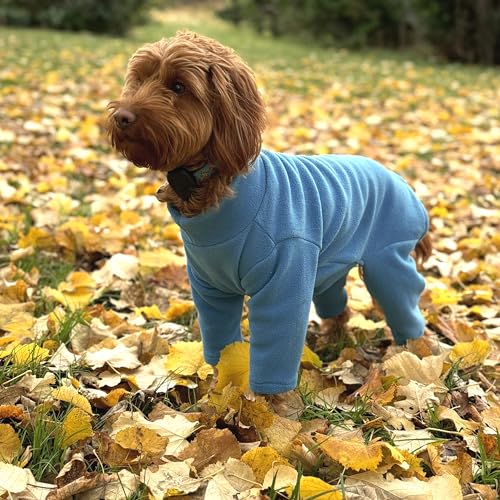 Warmes vierbeiniges Hunde-Fleece, super weich, witterungsbeständig (Blaugrün, Medium) von pet wiz