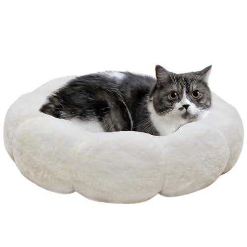 petfelix Flauschiges Katzenbett, 50,8 cm, Beige von petfelix