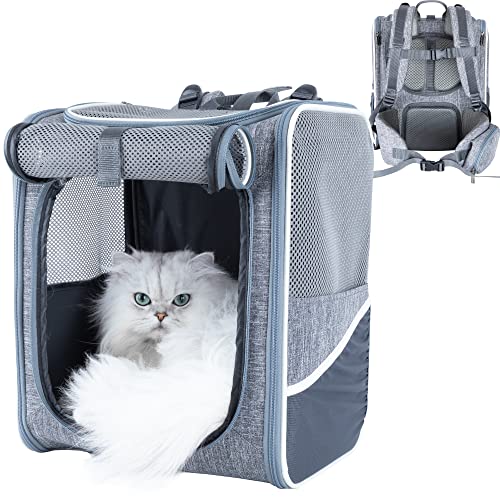 petisfam Ergonomisches Design Katzen Reiserucksack Tragetasche für mittelgroße Abenteuer Katzen und kleine Hunde, bequem und stabil von petisfam