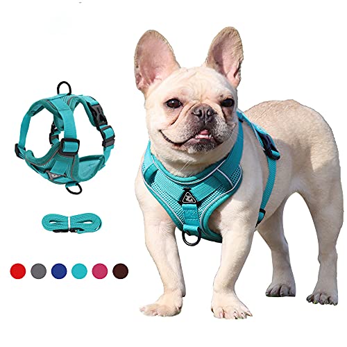 No-Pull Hundegeschirr atmungsaktiv Brustgeschirr Geschirr für Hunde Welpengeschirr Reflexstreifen Sichere Führung Einstellbar Weich(XL) von petjanicahome