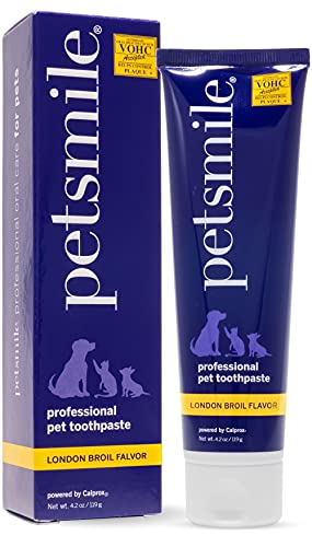 YGF9 New Petsmile Professional Dog Toothpaste | VOHC Approved Clinically Proven Plaque and Tartar Control Toothpaste | Made in USA, Human Grade Ingredients Healthier Mouth Fresher Breath (London Broil, 4.2 Oz)… von petsmile