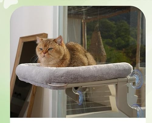 petsome Vielseitige Katzen-Fensterstange, verstellbare Katzenhängematte für große Katzen, Befestigung auf Fensterbänken, Nachttisch oder Glas, einfache Installation und Entfernung, waschbarer von petsome