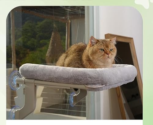 petsome Vielseitige Katzen-Fensterstange, verstellbare Katzenhängematte für große Katzen, Befestigung auf Fensterbänken, Nachttisch oder Glas, einfache Installation und Entfernung, waschbarer von petsome