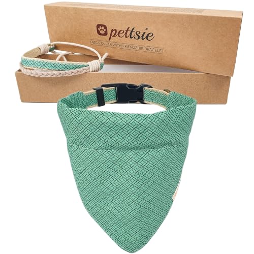 Pettsie Hundehalstuch mit Halsband und Freundschaftsarmband, Verstellbare Größen S, M, und L, Abnehmbares Bandana Tuch, Geschenkbox, Hundeliebhaber, L, Grün von pettsie