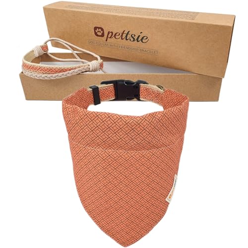 Pettsie Hundehalstuch mit Halsband und Freundschaftsarmband, Verstellbare Größen S, M, und L, Abnehmbares Bandana Tuch, Geschenkbox, Hundeliebhaber, L, Orange von pettsie