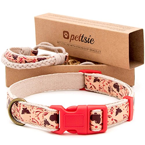 pettsie Hundehalsband mit Freundschaftsarmband, einstellbare Größen S und M, haustierfreundlicher Hanf, stark und langlebig, tolles Geschenk für Hundeliebhaber in Geschenkbox von pettsie