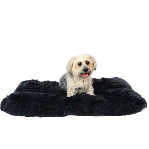 petzy Plüsch Hundebett I 100x70x14 cm I flauschig & waschbar für große, kleine und mittlere Hunde I multifunktionale Hundematte extra dick & bequem I Hundekissen & Katzenkissen I (L, Anthrazit) von petzy