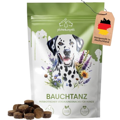 pfotenkumpels 'Bauchtanz' - Präbiotischer Verdauungs-Snacks für Hunde - Darmflora aufbauen - Verbesserung der Verdauung & Immunsystem - 100% natürlich von pfotenkumpels