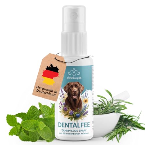 pfotenkumpels Dentalfee - Dentalspray/Zahnpflege Spray für Hunde & Katzen - Entfernt Zahnstein & Zahnbelag - 100% natürlich - 50 fermentierte Kräuter - frischer Atem - 100ml - Reicht bis 9 Monate… von pfotenkumpels