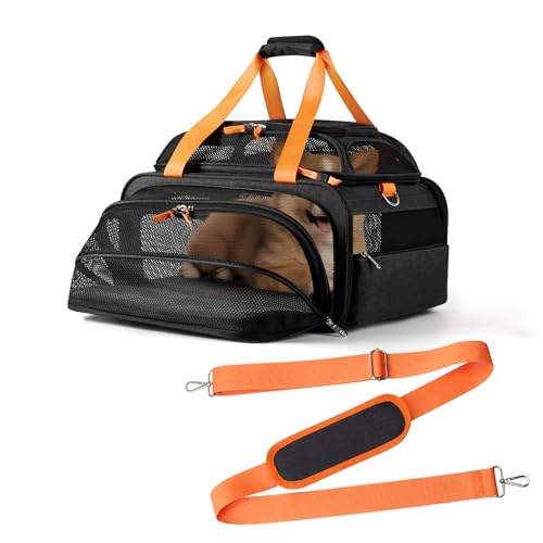 pidipiti 45,7 x 34,9 x 22,9 cm, TSA-zugelassen, oben und 1 Seite, erweiterbare Haustier-Tragetasche für kleine Hunde, Welpen, Katzen bis zu 3,6 kg Gewicht, für Spirit Southwest Airlines mit doppelten pidipiti 45,7 x 34,9 x 22,9 cm, TSA-zugelassen, oben und 1 Seite, erweiterbare Haustier-Tragetasche für kleine Hunde, Welpen, Katzen bis zu 3,6 kg Gewicht, für Spirit Southwest Airlines mit doppelten von pidipiti