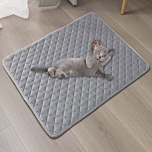 ping bu Haustiermatte, Hundebettmatte, wasserdichte Hundeboxen-Matratze, rutschfeste Katzen-Schlafmatte, wiederverwendbare Trainingspads für drinnen und draußen, Katzen, Hunde (150 x 100 cm, hellgrau) von ping bu