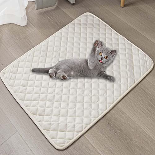 ping bu Haustiermatte, Hundebettmatte, wasserdichte Hundeboxen-Matratze, rutschfeste Katzen-Schlafmatte, wiederverwendbare Trainingspads für drinnen und draußen, Katzen, Hunde (150 x 100 cm, Beige) von ping bu