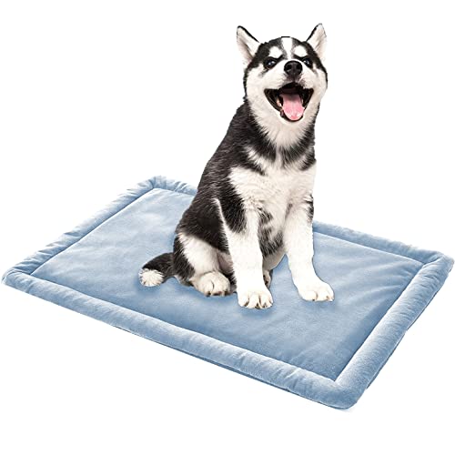 ping bu Weiches, warmes Hundebett, Haustiermatte, Hunde- und Katzenbett, Schlafmatte, Angstlinderung, waschbare Baumwolle, Hundematratze, doppelseitiges Hundekissen (35 cm x 50 cm, blau) von ping bu