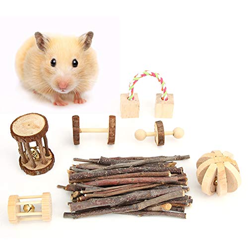 plplaaoo Wooden Small Pet Toy Set, 7 Piece, Safe and Non Noxious, for Hamster, Chinchilla, Rabbit, Promotes Chewing and Play von plplaaoo