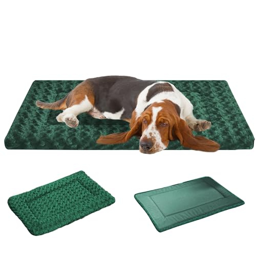 Hundebettunterlage für kleine/mittelgroße und große Hunde, weich, langlebig, waschbar und rutschfest, wendbar, Hundehüttenmatte, Katzenbett (Magic Circle Green, M (30 x 20 x 1,5) von pobopobo