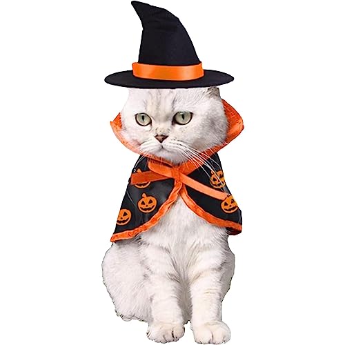 Hundekleidung für Halloween, Cosplay-Kostüme, Kätzchen, Kleidung für Hunde, Mantel aus Fledermaus, für eine Halloween-Atmosphäre mit Kürbismotiv Pologmase von pologmase