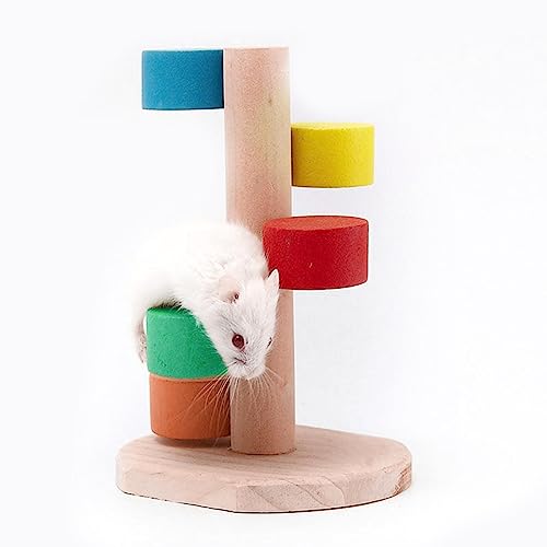 Kletterspielzeug für Hamster, Klettertreppen-Übungsspielzeug aus Holz für Hamster | Regenbogenleiter für Treppen, Zahnen, gelegentliche Zahnung für Rennmäuse, Schweinchen Pologmase von pologmase