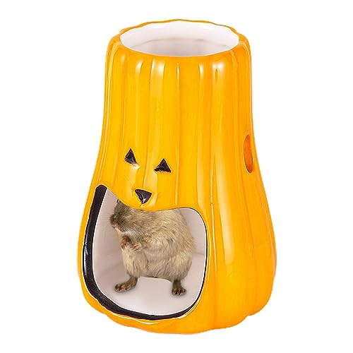 pologmase Futter für Hamster, Wasserschale aus Keramik für Hamster aus Steingut | Schöne Schüssel für Halloween-Futter für syrisches Kaninchen, Meerschweinchen, Rennmäuse, Frettchen von pologmase