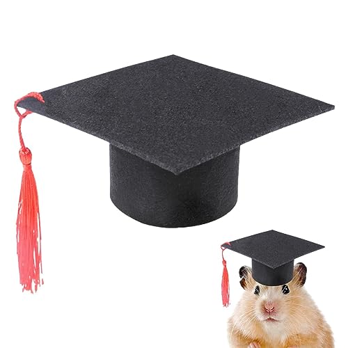 pologmase Graduierung für Haustiere, Hunde und Katzen, Bachelor Caps, Kostüm, Hüte, Graduierung für Hunde mit roter Bommel, Kostüm, Graduierung von pologmase