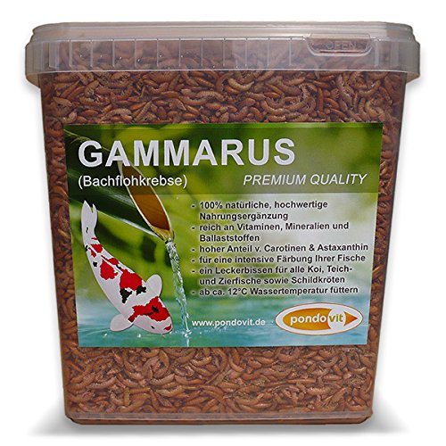 pondovit Gammarus (Bachflohkrebse - Premiumsnack - Koi Leckerbissen, 5 l von pondovit