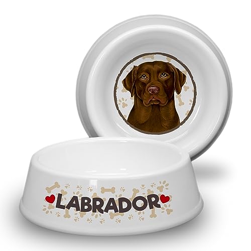 Labrador Chocolate - ABS Hundenapf Ø 21cm. Rutschfester Futternapf/Trinknapf für mittlere Hunderassen. Fressnapf, Wasserschale, Haustierschüssel auch für Leckereien geeignet. Robust und Langlebig. von power gift