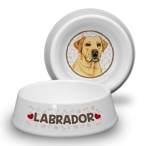 Labrador GELB/Cream - ABS Hundenapf Ø 21cm. Rutschfester Futternapf/Trinknapf für mittlere Hunderassen. Fressnapf, Wasserschale, Haustierschüssel auch für Leckereien geeignet. Robust, Langlebig. von power gift