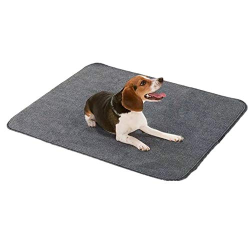 ppactvo Hundekissen, Haustiermatte, rutschfest, wasserabsorbierend, abnehmbar, waschbar, für Hunde und Katzen, 76,2 x 106,7 cm von ppactvo